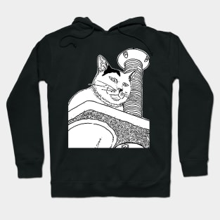 Fat Cat Funny Expression Hoodie